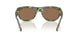 208973 - Green - Solid Brown