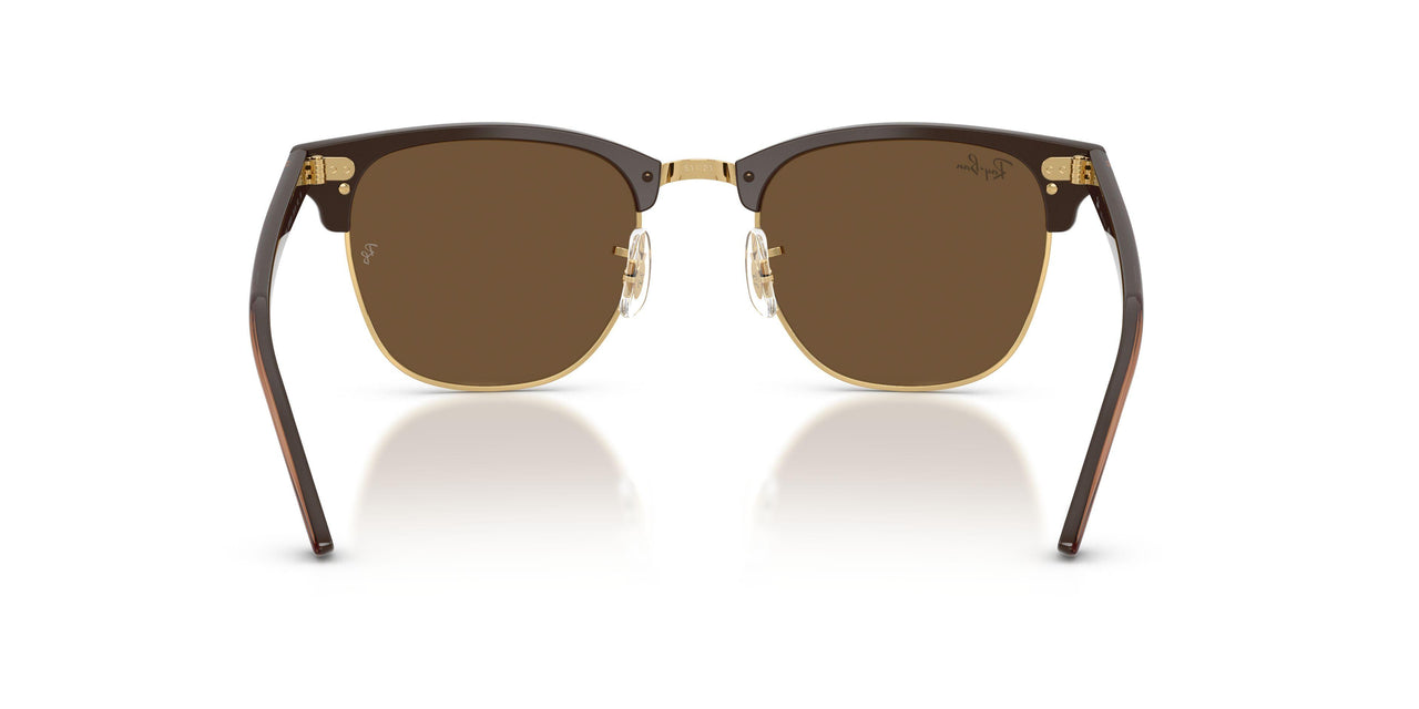 687853 - Brown - Dark Brown