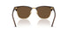 687853 - Brown - Dark Brown