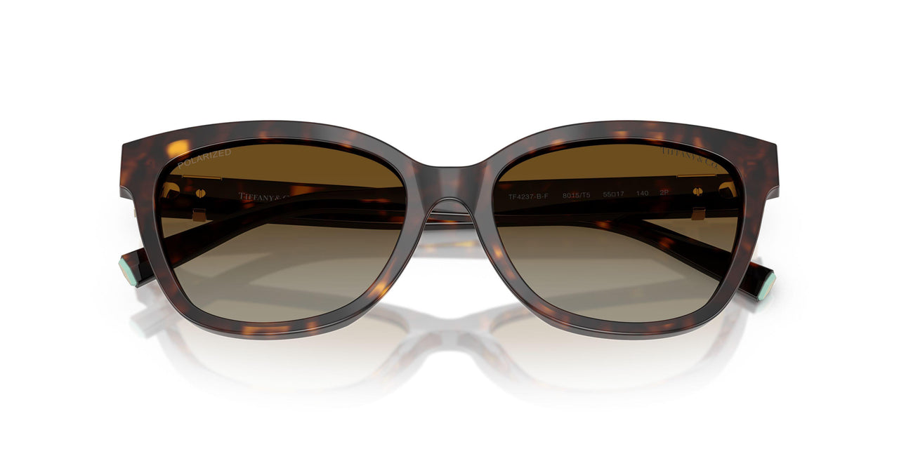 8015T5 - Tortoise - Polar Brown Gradient