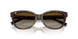 8015T5 - Tortoise - Polar Brown Gradient