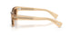 1766AN - Brown - Terra Polarized