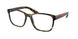 5811O1 - Tortoise
