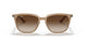 616613 - Light Brown - Gradient Brown