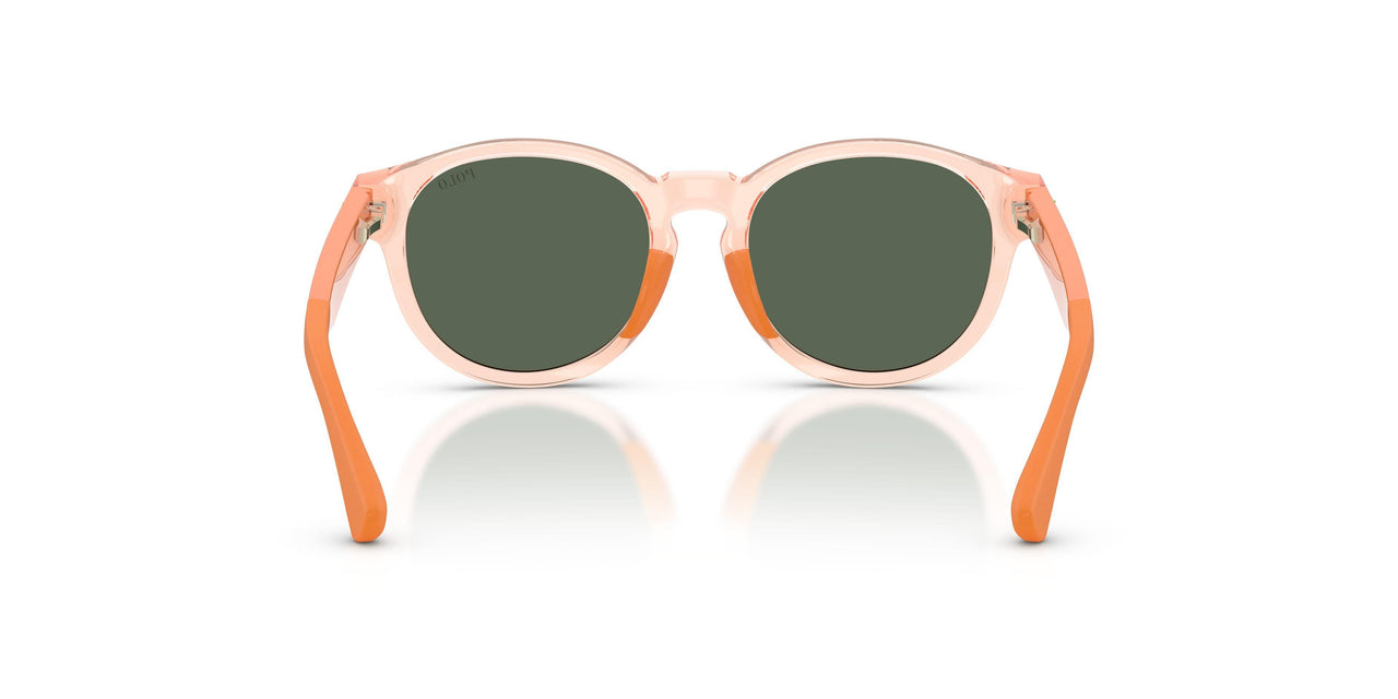 636671 - Pink - Dark Green