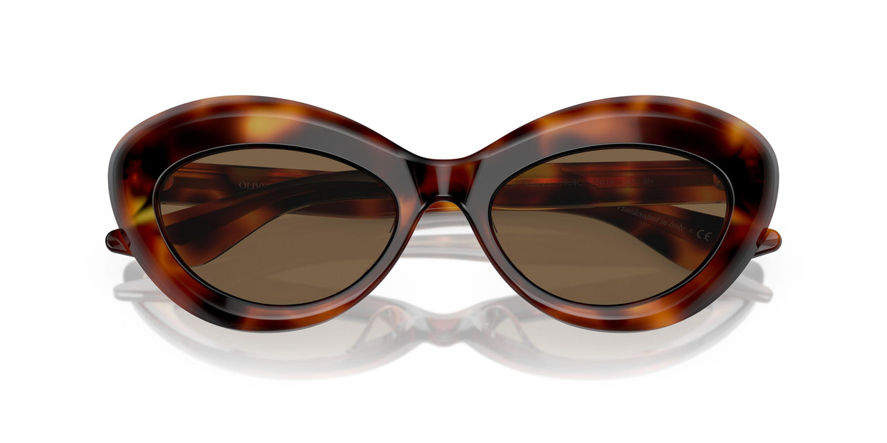 100773 - Tortoise - Brown