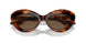 100773 - Tortoise - Brown