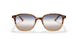 1328GD - Havana - Clear Grad Blue Grad Brown