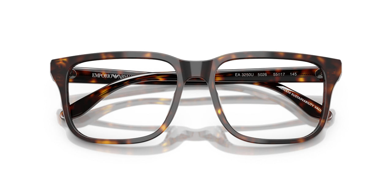 5026 - Tortoise