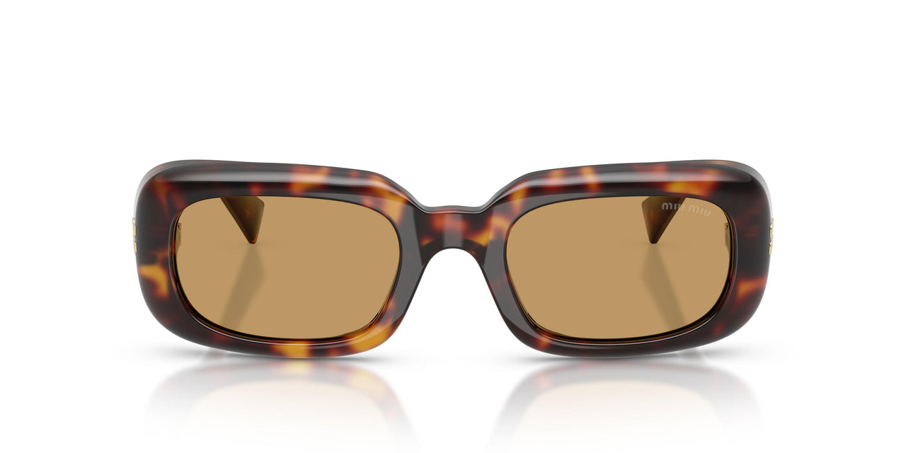 27L10Y - Tortoise - Brown