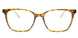 C2 - Brown