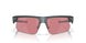 940019 - Grey - Prizm Dark Golf