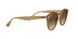 616613 - Turtledove - Brown Gradient