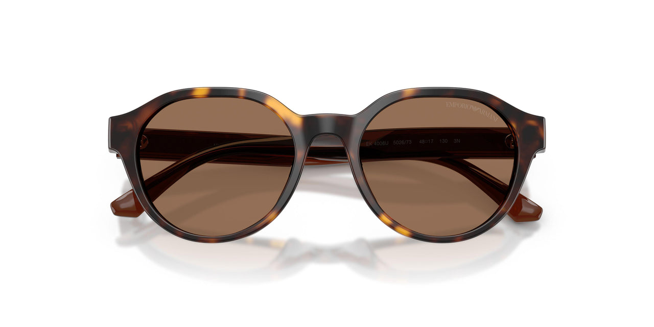 502673 - Tortoise - Dark Brown