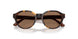 502673 - Tortoise - Dark Brown