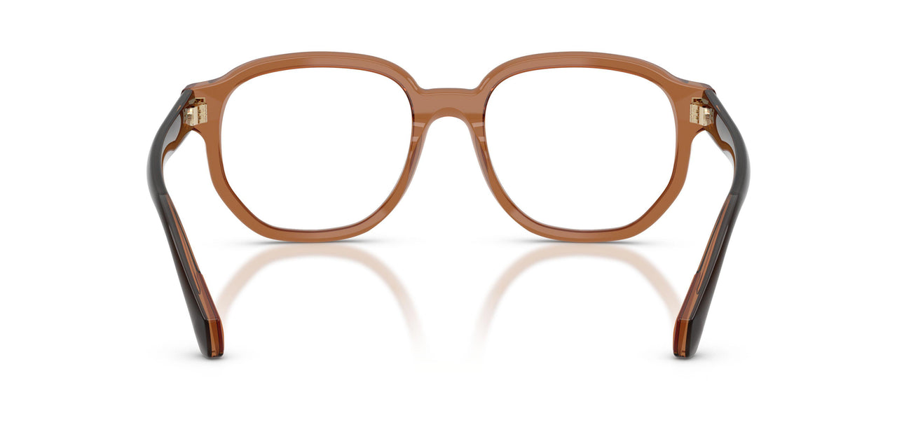 3017 - Brown