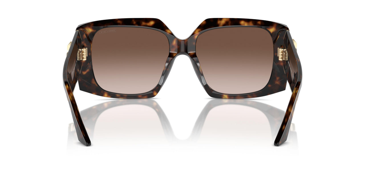 500213 - Tortoise - Gradient Brown