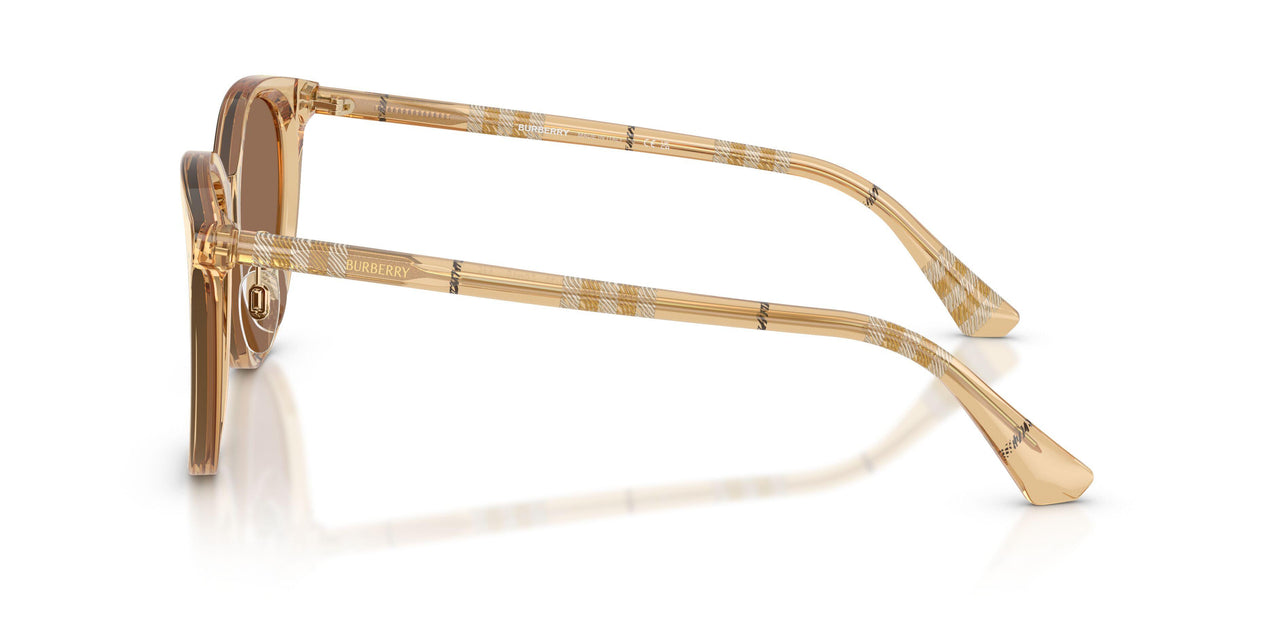 416773 - Beige - Dark Brown