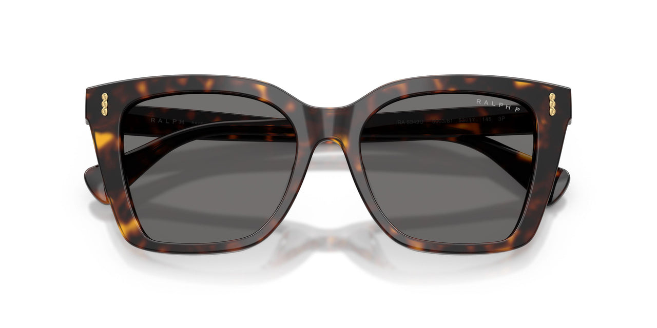 500381 - Tortoise - Polar Grey