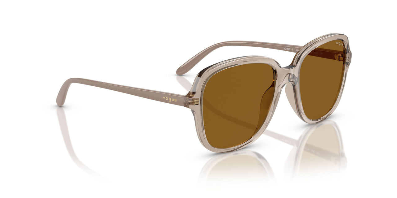 299083 - Brown - Dark Brown Polar