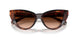 322274 - Red - Brown Gradient