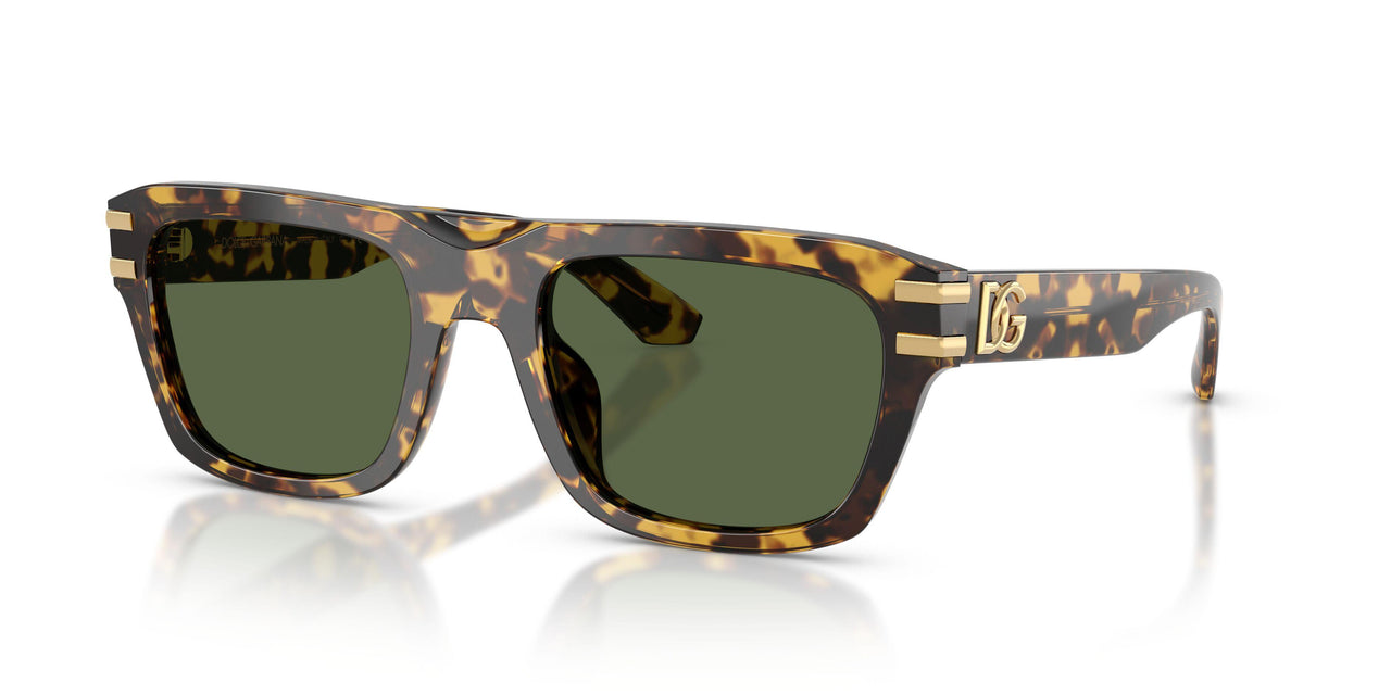 333071 - Tortoise - Dark Green