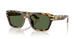 333071 - Tortoise - Dark Green