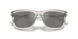 2858Z3 - Grey - Polarized Grey
