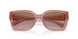 583914 - Pink - Brown Rose Gradient