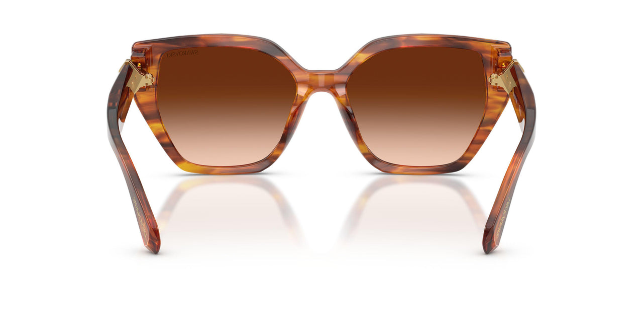 109174 - Tortoise - Brown Gradient