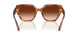 109174 - Tortoise - Brown Gradient