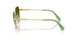 4004E8 - Gold - Green Gradient Brown