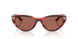 753/H2 - Tortoise - Brown