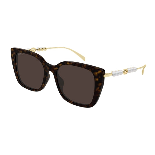 003 - Havana/Gold - Brown