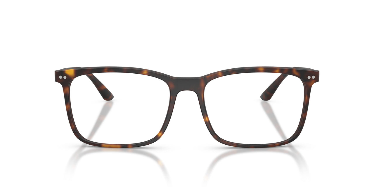 6417 - Tortoise