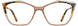 Cinzia CIN5171 Eyeglasses