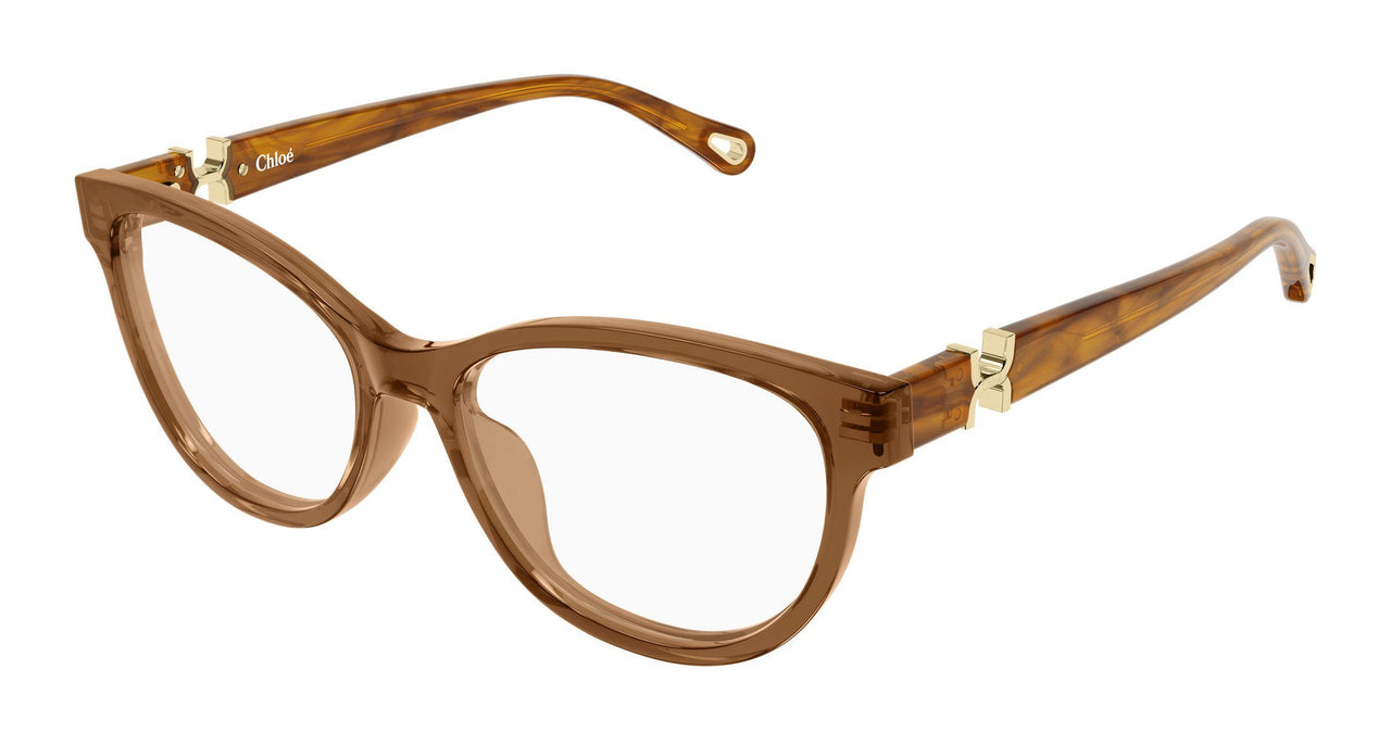 009 - Brown/Havana - Transparent