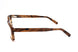 43 - HAVANA BROWN