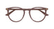 012 - Brown - Transparent
