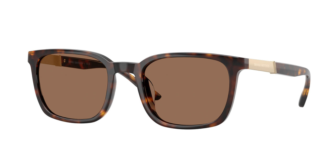616173 - Tortoise - Dark Brown