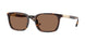 616173 - Tortoise - Dark Brown