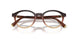 24C1O1 - Brown