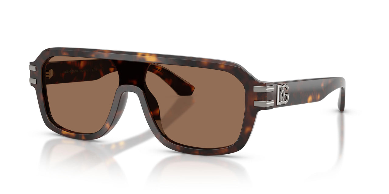 502/73 - Tortoise - Dark Brown