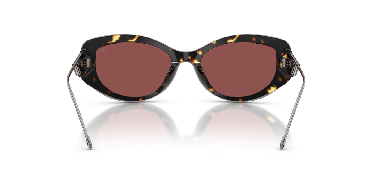 201775 - Tortoise - Dark Violet
