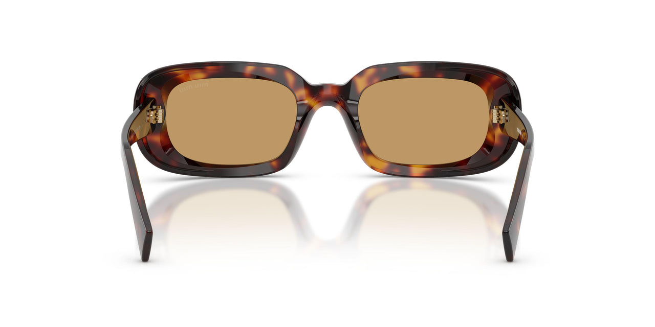 27L10Y - Tortoise - Brown