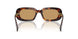 27L10Y - Tortoise - Brown