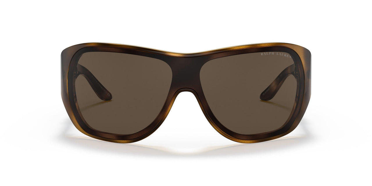 500373 - Havana - Brown