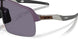 946338 - Violet - Prizm Grey