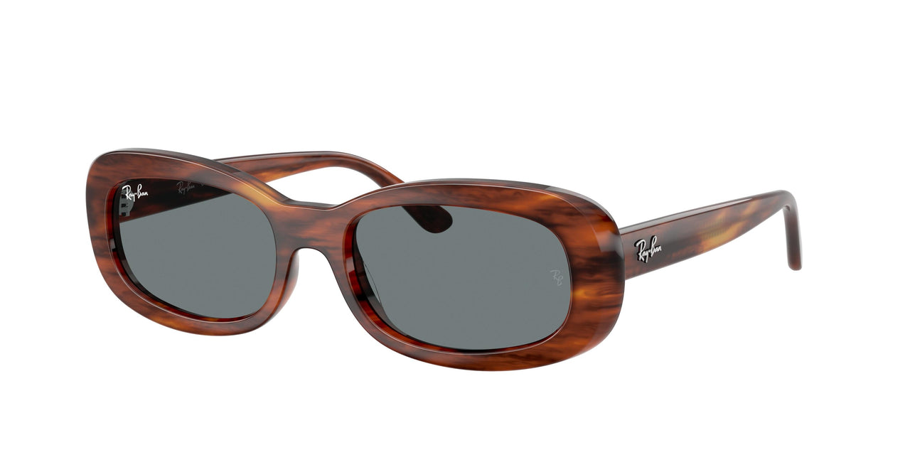 Ray-Ban 2221F Sunglasses