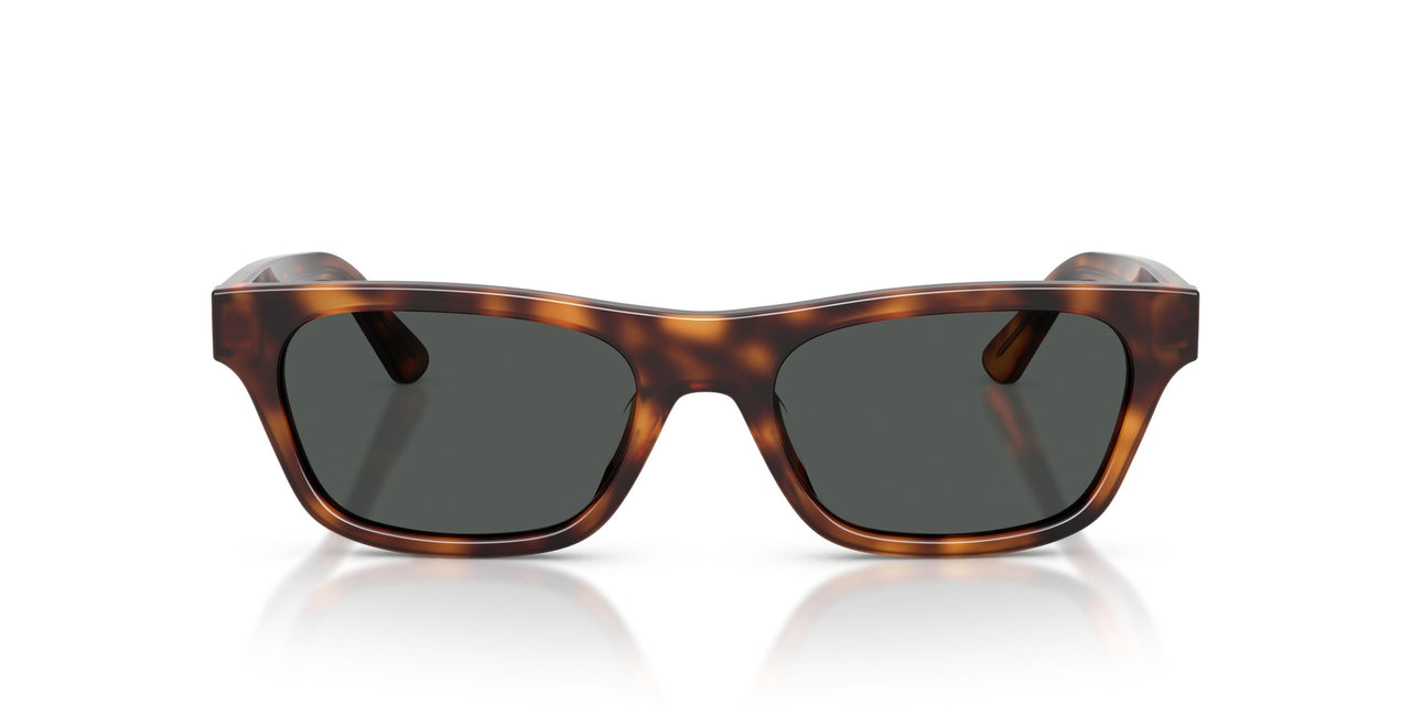 635587 - Brown - Dark Grey